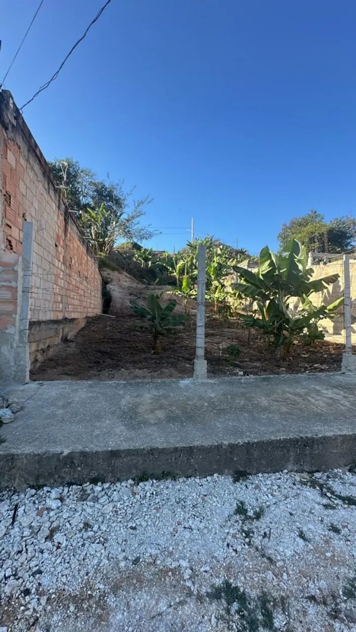 Lote - Foto 3