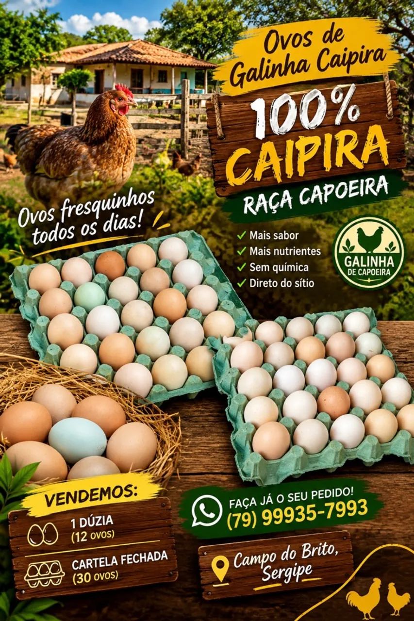 Ovos de galinha de capoeira - Foto 2