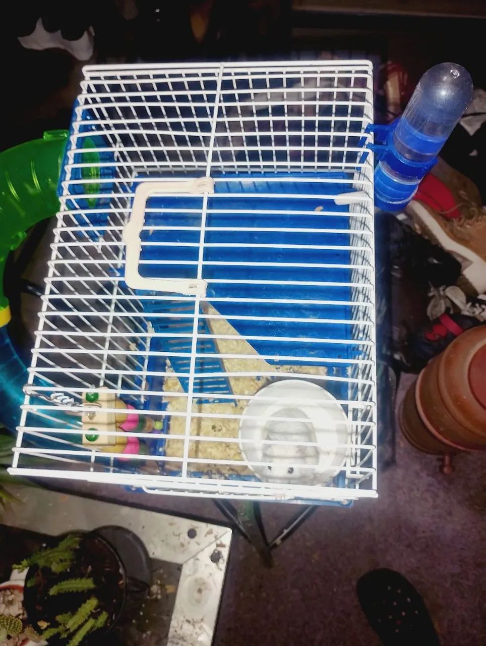 Hamster macho com gaiola e acessórios  - Foto 4