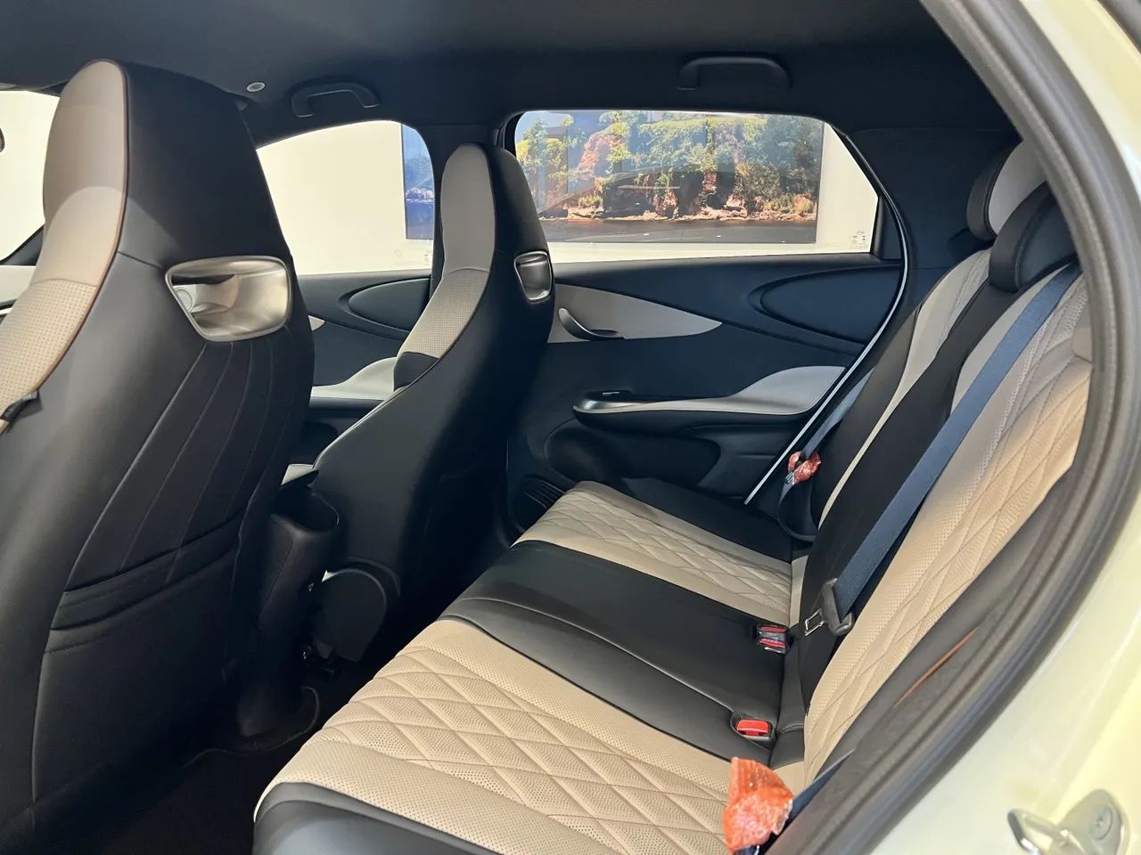 BYD Dolphin GS (Elétrico) 2027 - Foto 4