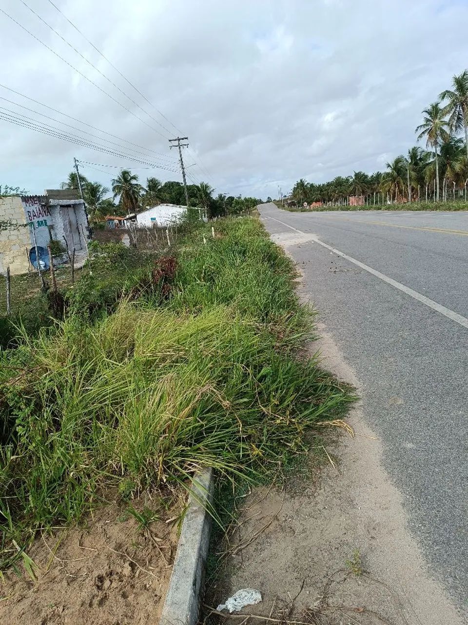 Terreno 