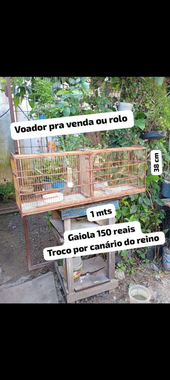 Gaiola 
