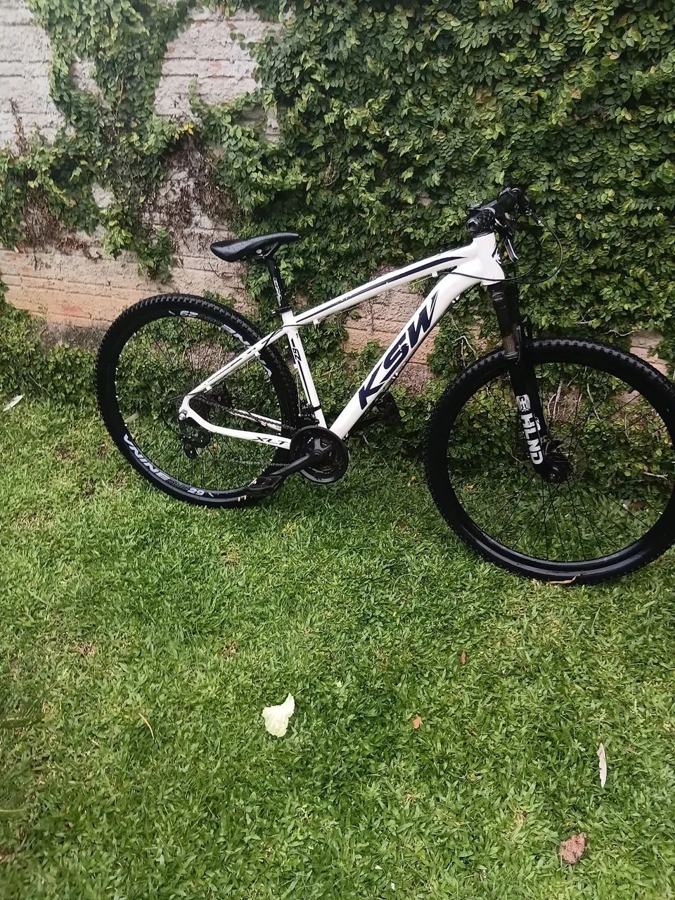 Bicicleta aro 29