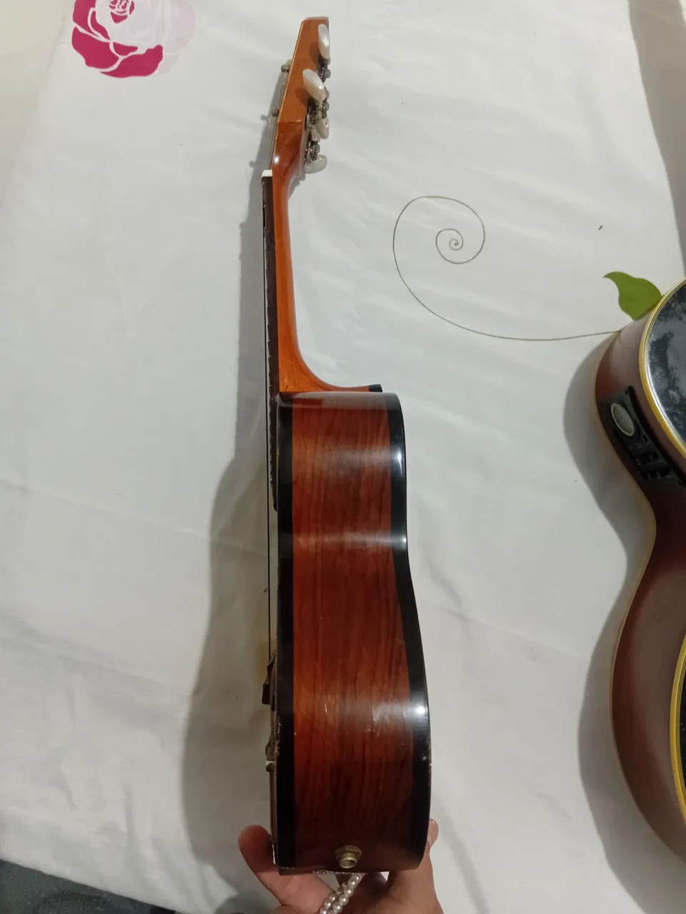 Cavaquinho Tgc01 Terra Brasil - Instrumentos musicais - Vila