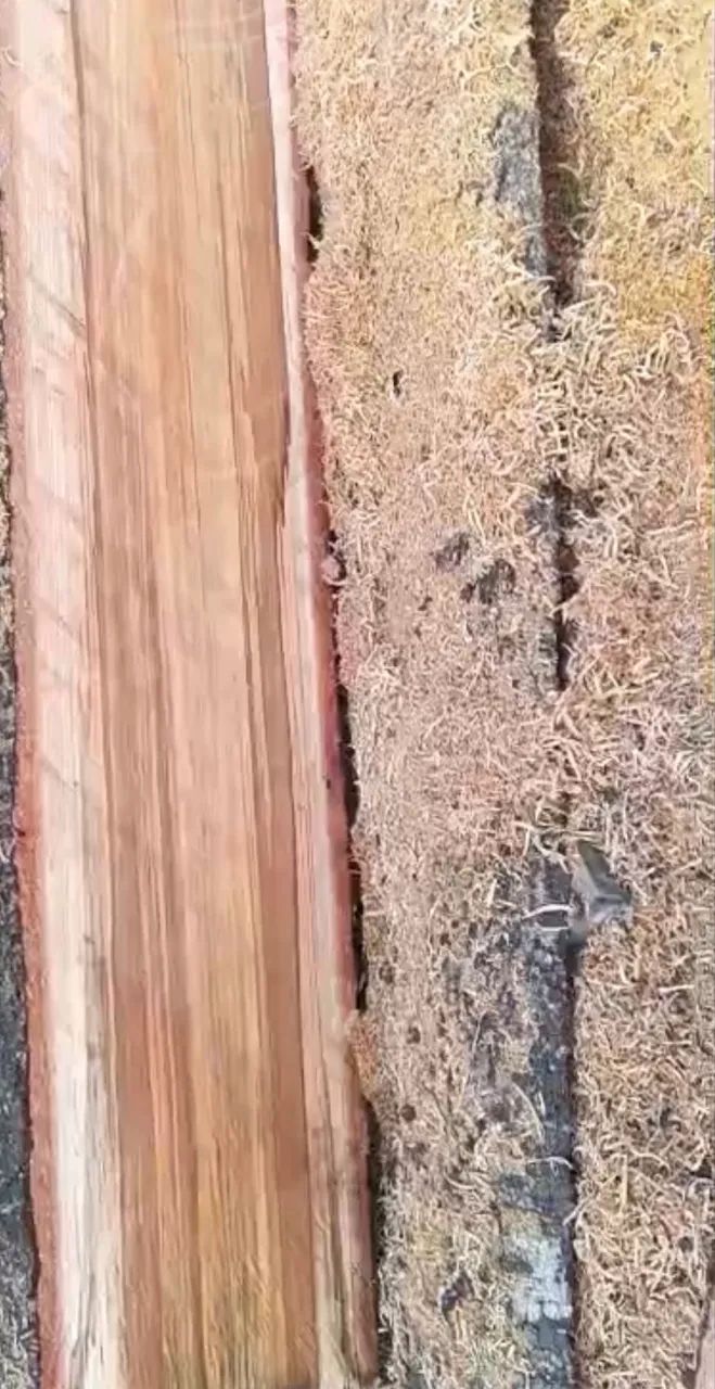 Rustic Planks – 3 Meters Long, Paraná Pine