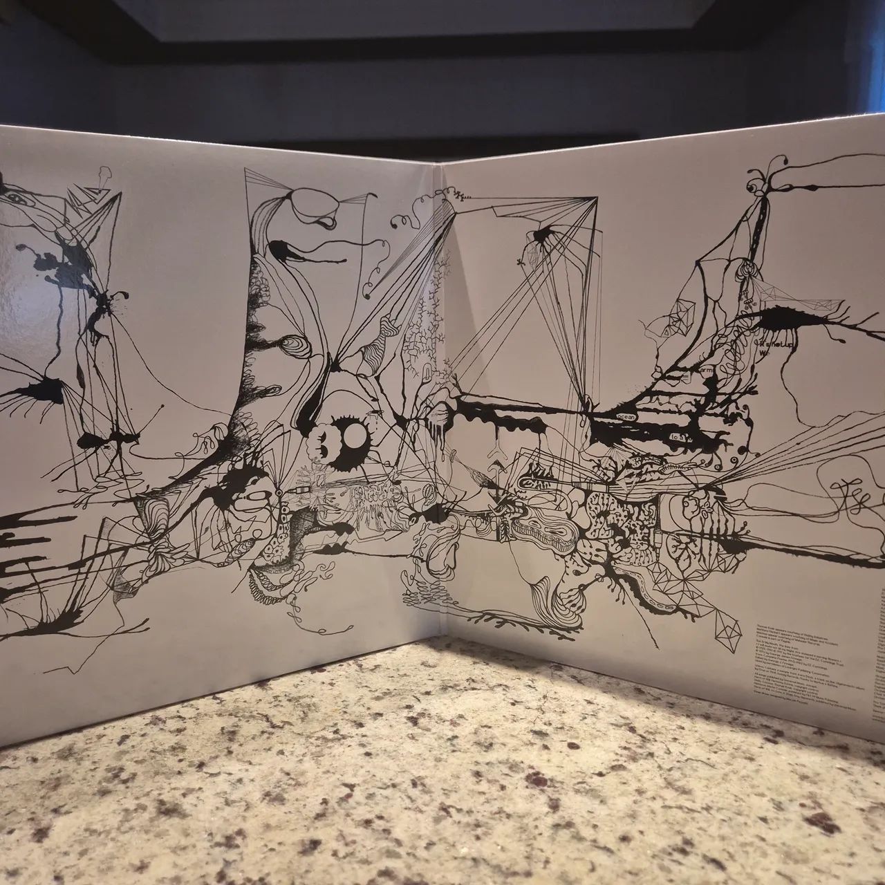 Björk - Vespertine (Vinil) - Foto 3