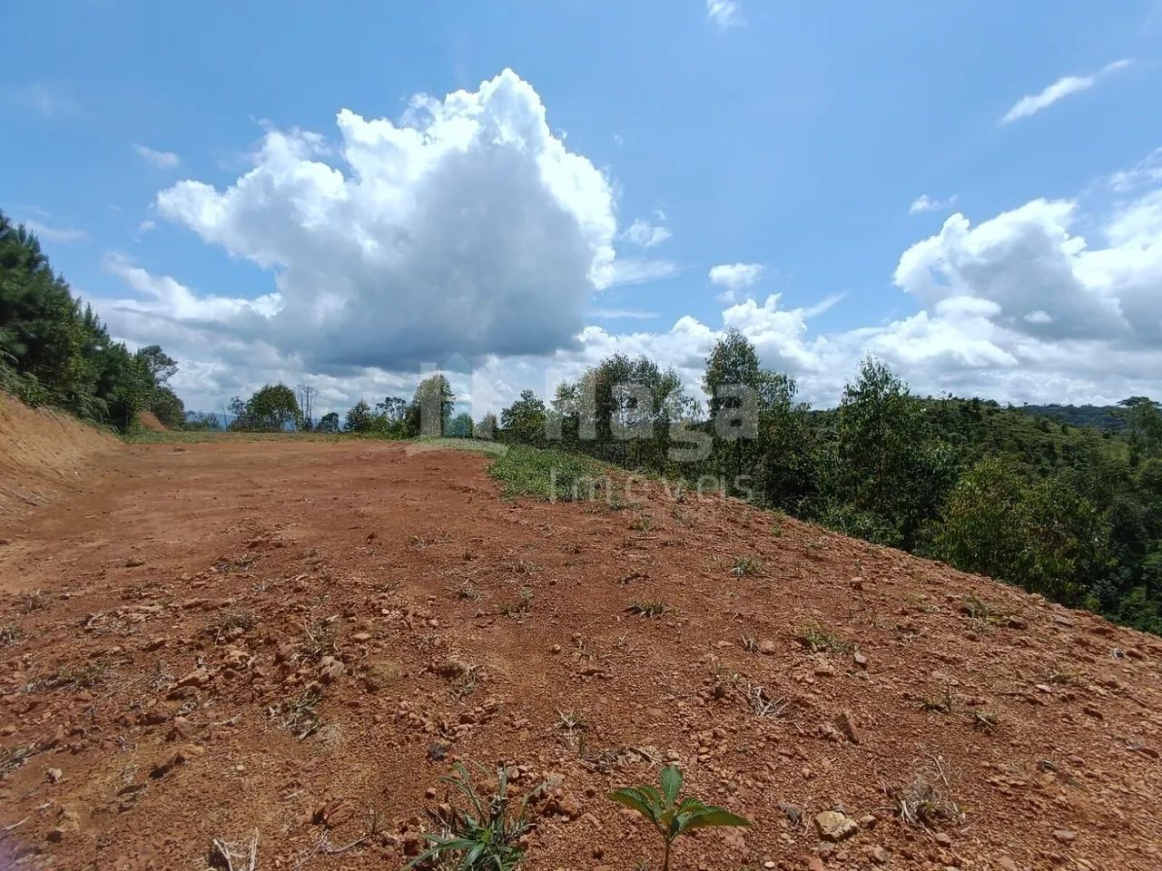 Terreno Rural à venda em Botuverá/SC - Foto 5