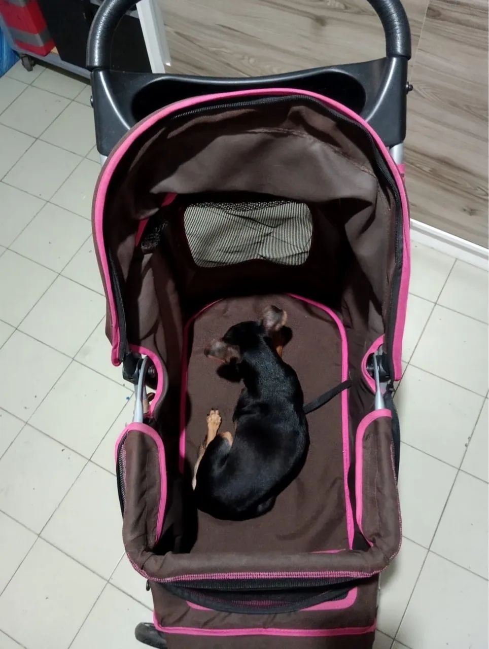 Carrinho para Pet - Foto 2