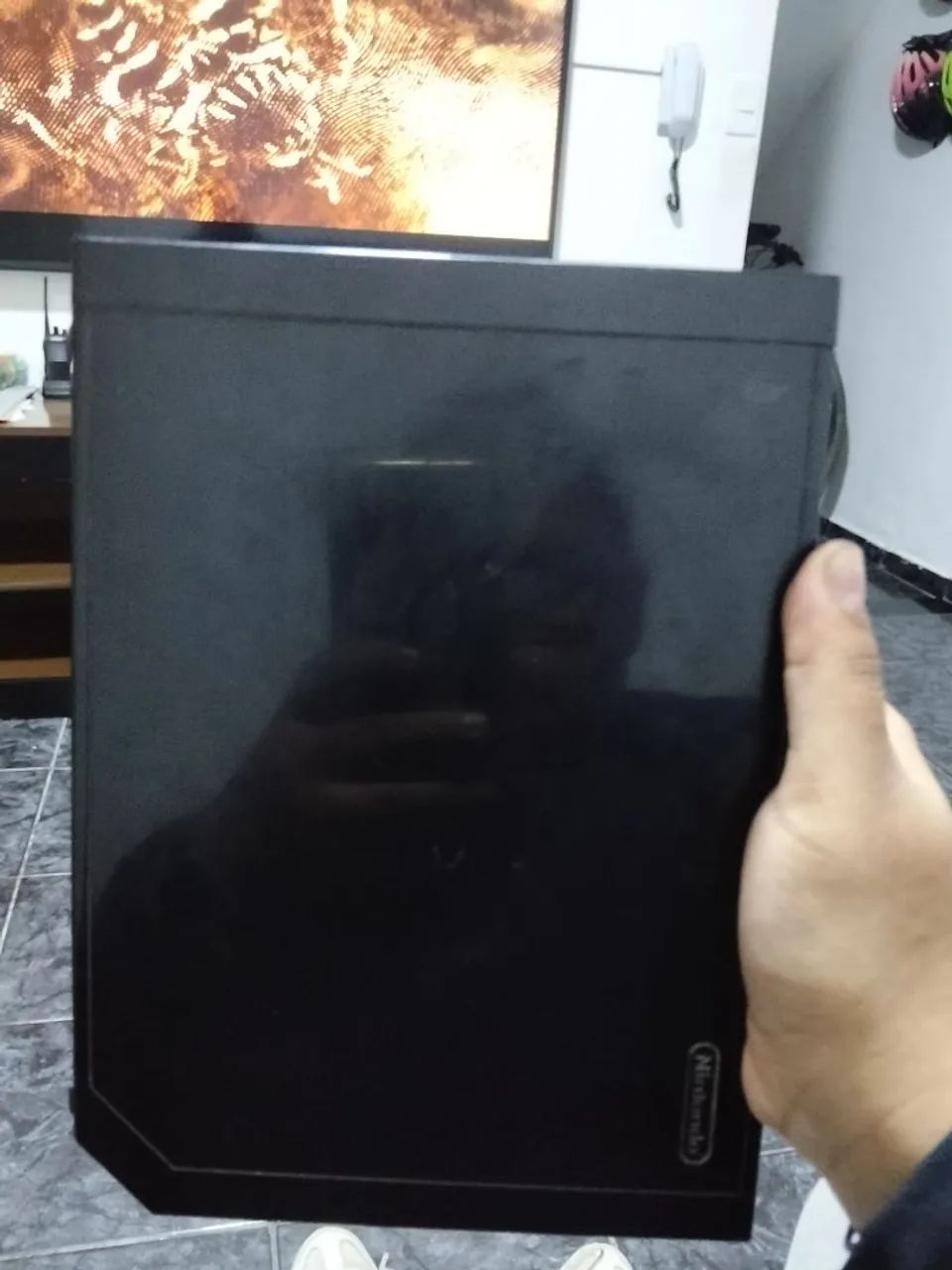 Nintendo wi