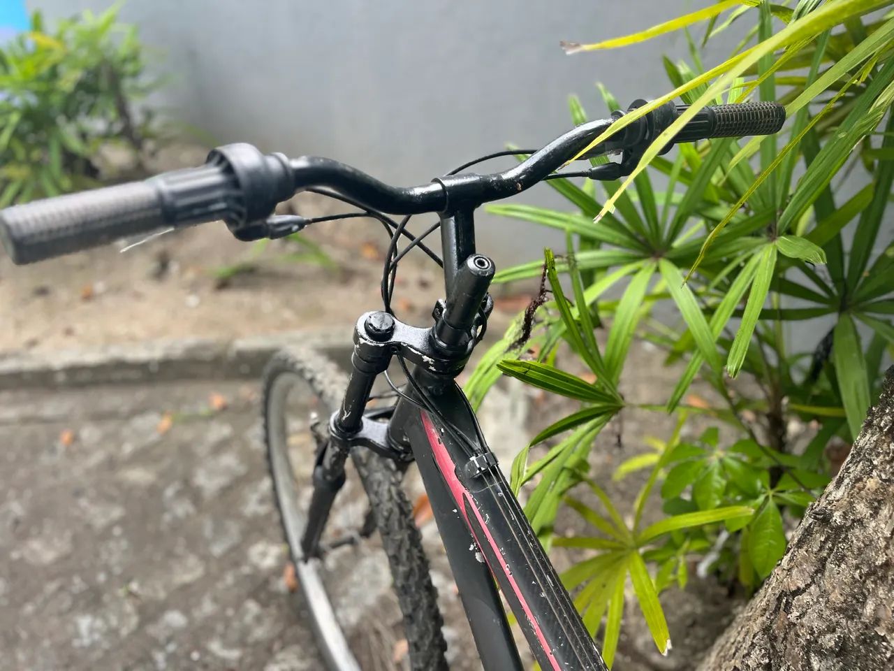 Bicicleta - Foto 6