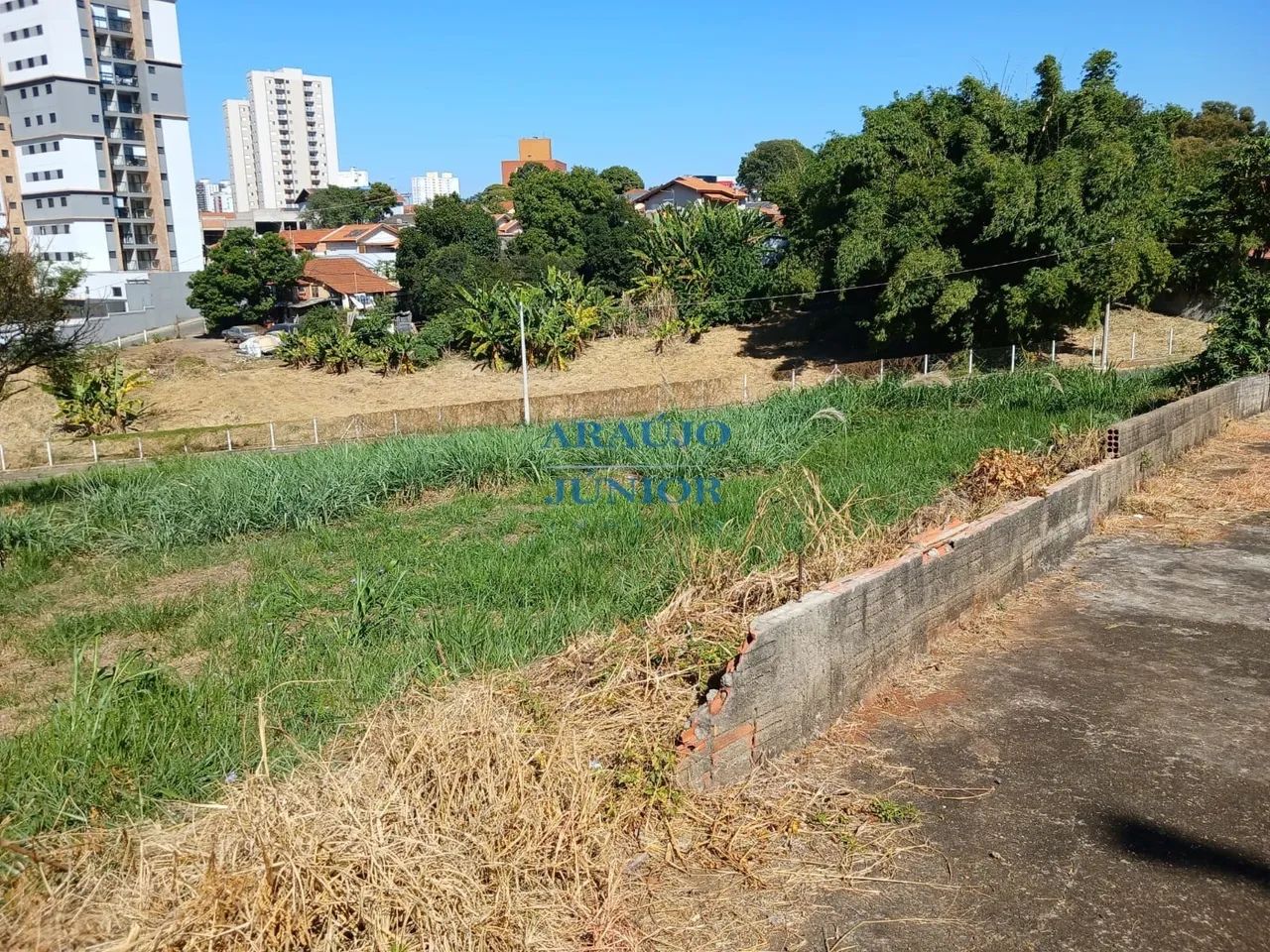 TERRENO CENTRO - Foto 4
