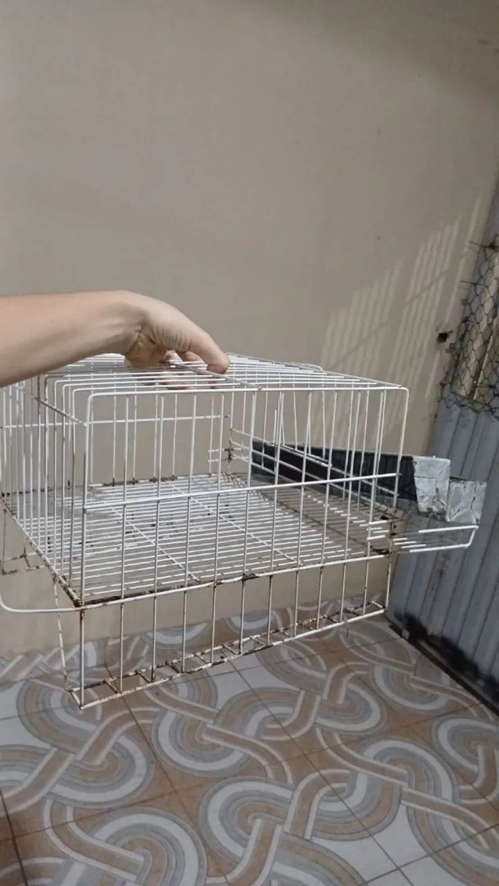 Gaiola para 10 codornas 