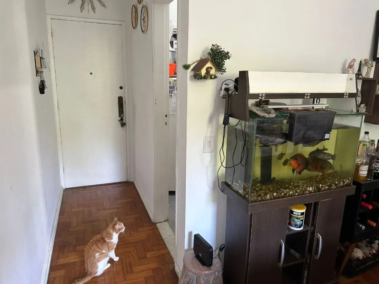 Imóvel para venda tem 65 metros quadrados com 2 quartos - Foto 3