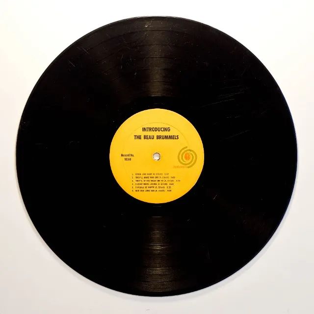 LP disco vinil - Introducing  The Beau Brummers (1965) - Foto 4