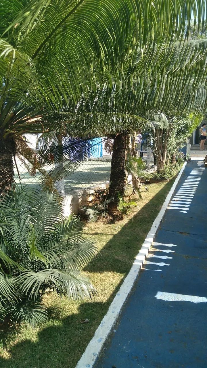 Chacara com 3 Suítes Colinas 1 Araçoiaba da Serra / SP - Foto 4