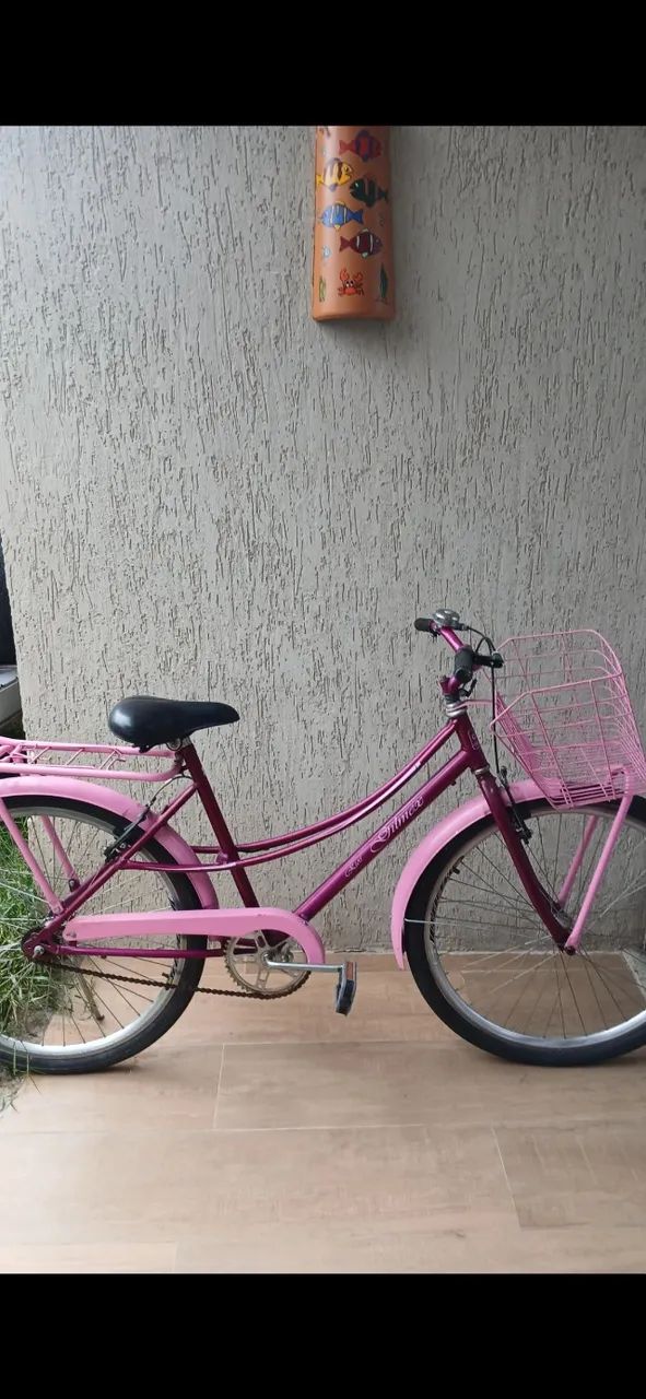 Bicicleta Cecizinha  - Foto 4
