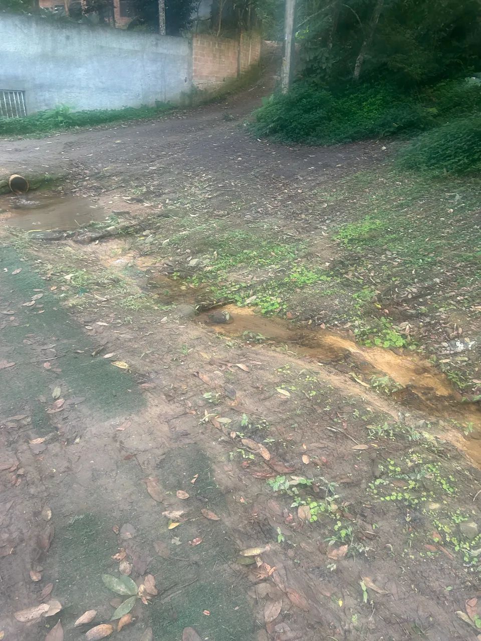 Vargem Grande  - Foto 3