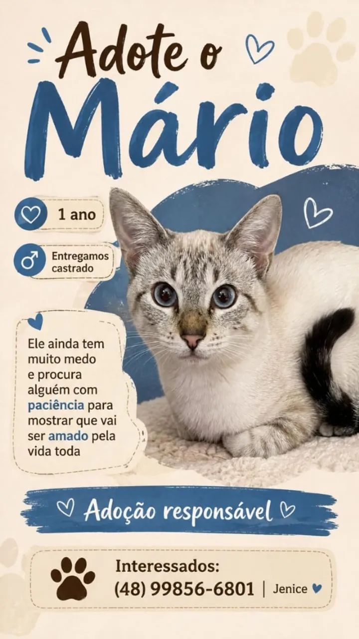Adote o Mario