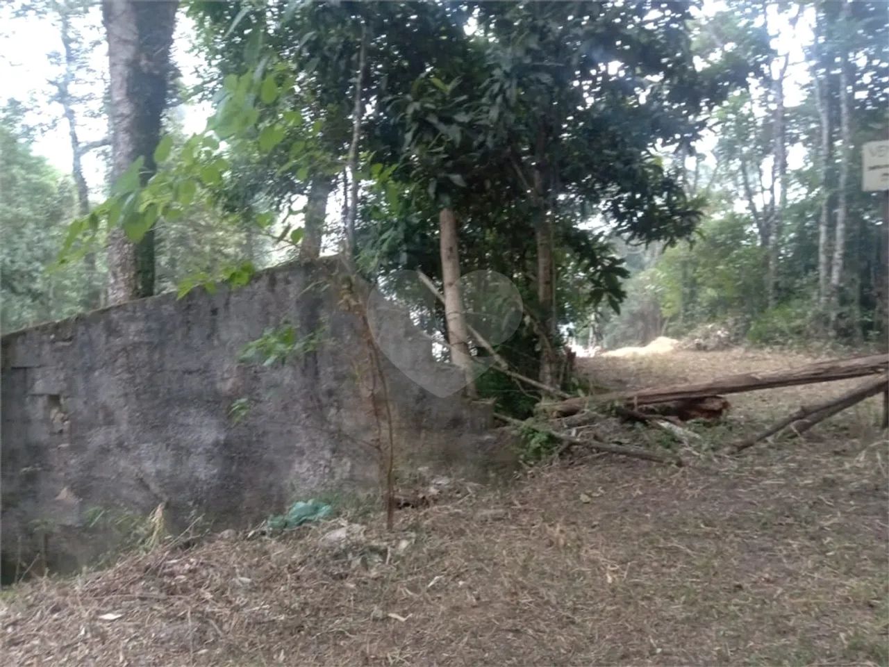 Terreno à venda em Samambaia - SP - Foto 3