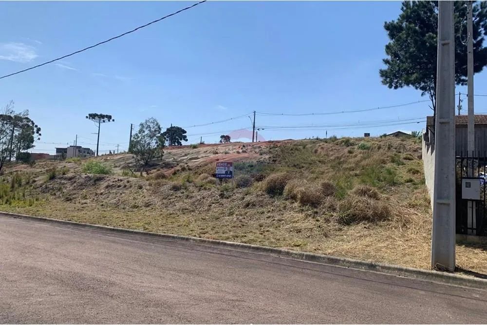 TERRENO - ECOPARK  QUATRO BARRAS - Foto 3