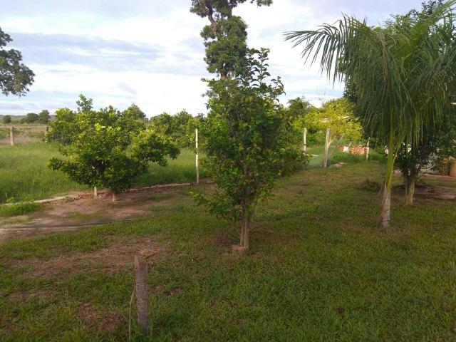 110 Alq. Cocalinho-MT. {Fazenda Diferenciada} R$ 3,5 Milhões - Foto 7