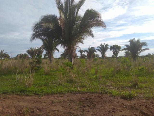 110 Alq. Cocalinho-MT. {Fazenda Diferenciada} R$ 3,5 Milhões - Foto 5