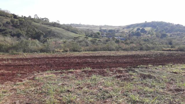 Chácara Venda Ibiporã Próximo Recanto do Engenho - Foto 3