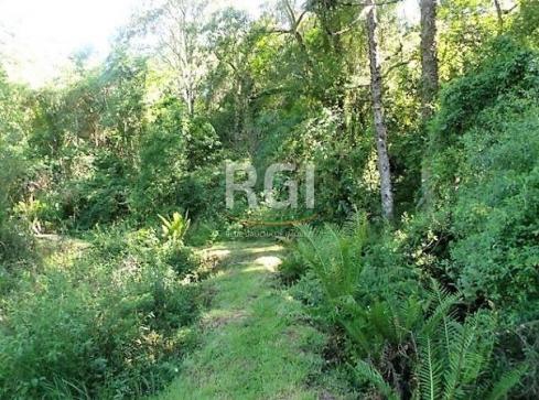 Sítio à venda em Zona rural, São francisco de paula cod:LI50877651 - Foto 6