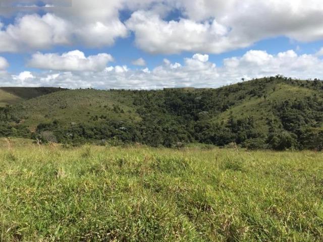 Vende-se Fazenda 425,98 ha no Extremo Sul da Bahia - Itanhém - Foto 7