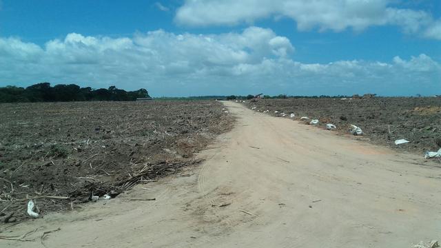 Oportunidade lote para chácara no Lindóia apenas 90 mil