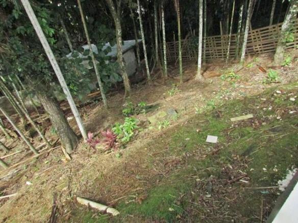Casa à venda com 2 dormitórios em Atiradores, Joinville cod:10116 - Foto 11