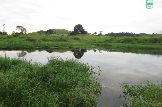 Gongogi - Fazenda pecuária de 655 Hectares toda formada - Foto 16