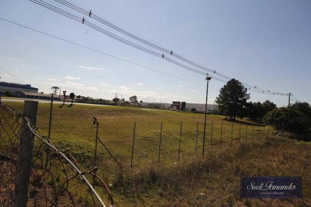 Área para locação, Contorno Leste, São José dos Pinhais. - Foto 10
