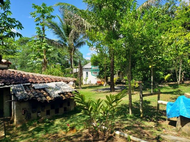 Ibirapitanga. Fazenda pequena com área de 12 ha - Foto 8
