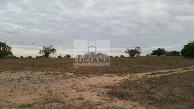 Fazenda com 467 hectares em Limoeiro (Cód.: 103m57) - Foto 3
