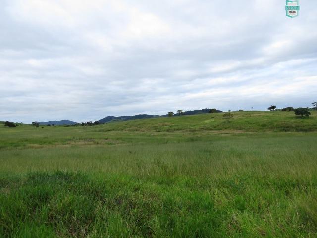 Gongogi - Fazenda pecuária de 655 Hectares toda formada