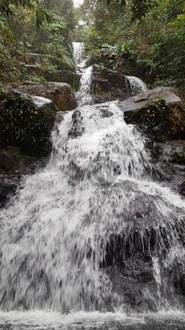Fazenda com 313 ha região da serra de são vicente - Foto 6