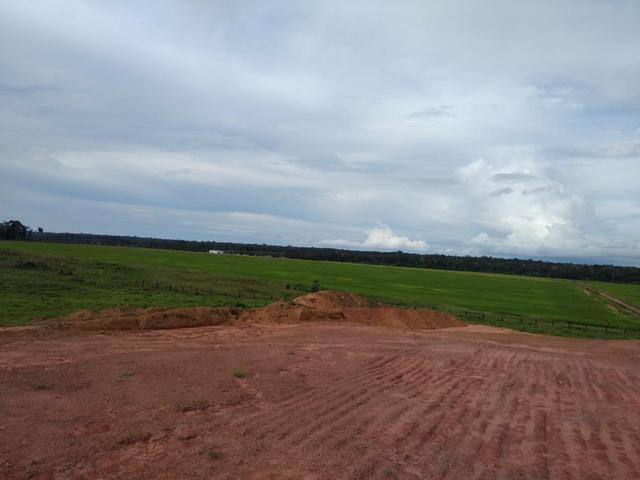 Vendo Fazenda Rondônia - Foto 6