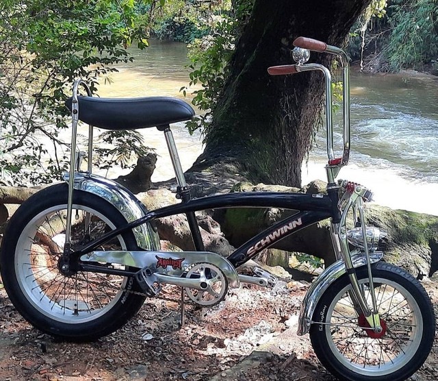 Bicicleta Schwinn Manta ray