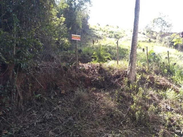Terreno no Pitangueiras  - Foto 5