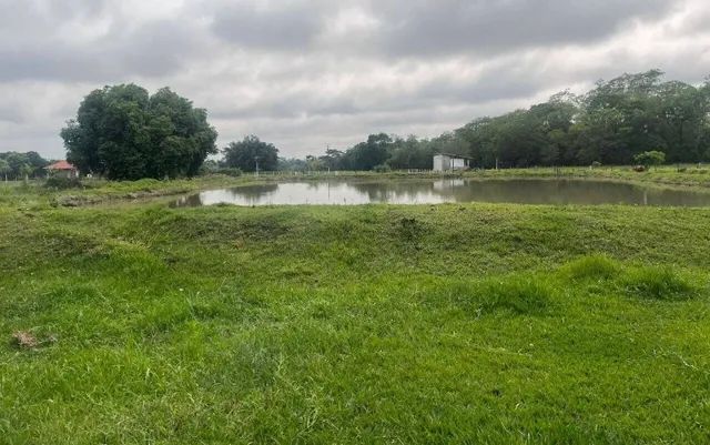 Belíssimo sitio com Mogno Africano - Sítio Espetacular de 62.500m² - Foto 4