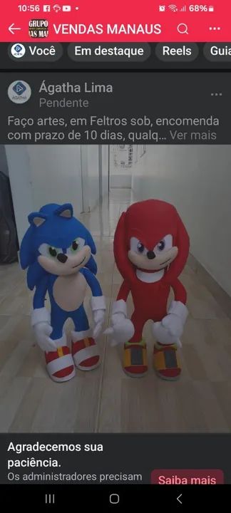 Sonic e Knuckles de feltro - Decoração