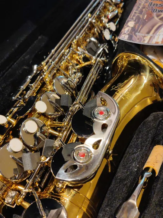Sax Alto Novo Zero Top Completíssimo Lindo