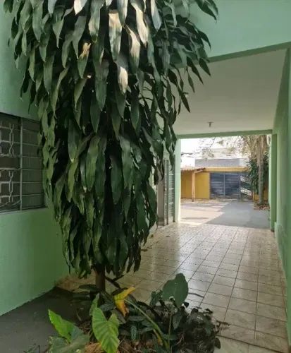 07 - Casa no Araçagi  - Foto 5