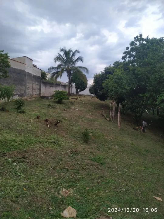 Roçagem limpeza de terrenos  - Foto 4