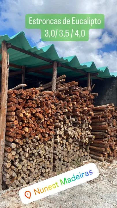 ESTRONCAS / ESCORAS DE EUCALIPTO 
