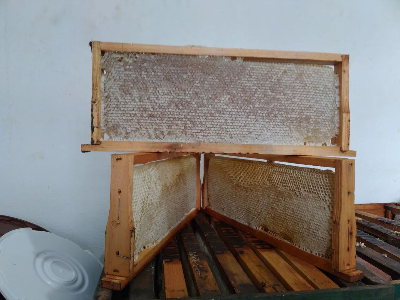 Mel de laranjeira e cipó uva - Foto 6