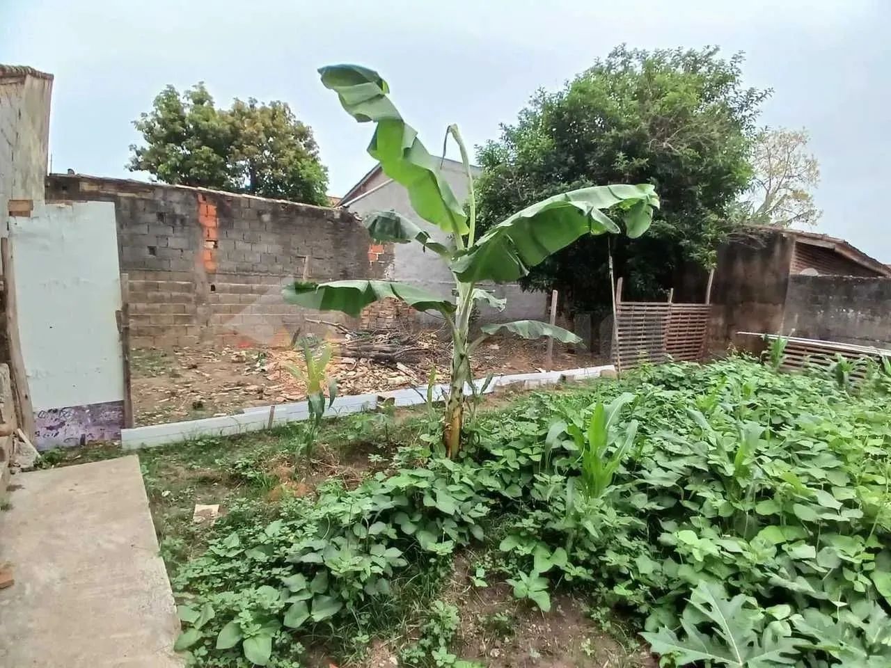 Terreno à venda, 1000 m² por R$ 1.300.000,00 - Jardim Brasil - Caraguatatuba/SP - Foto 7