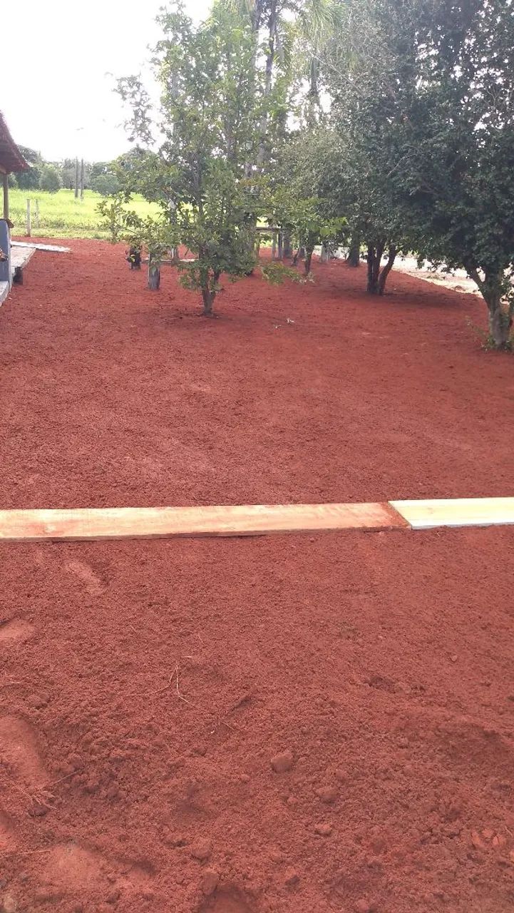 Gramado em processo de plantio - Foto 4