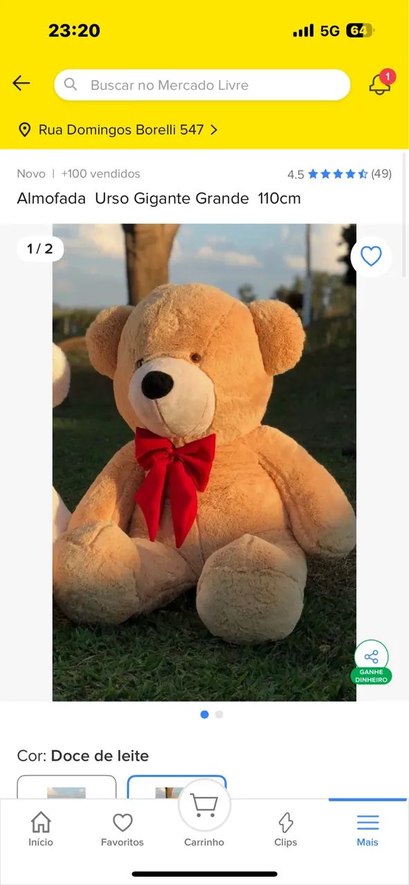 Plush Bear